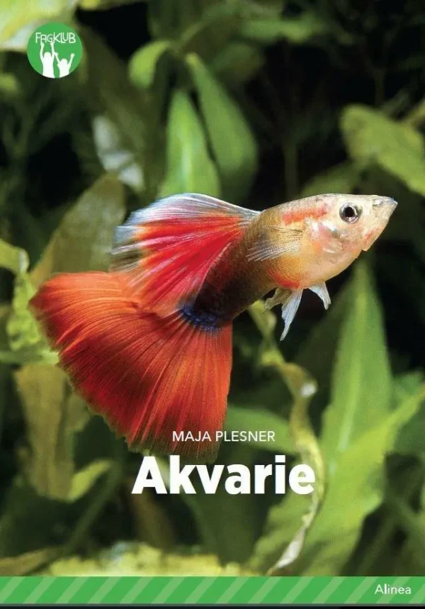 Akvarie, Grøn Fagklub Grøn