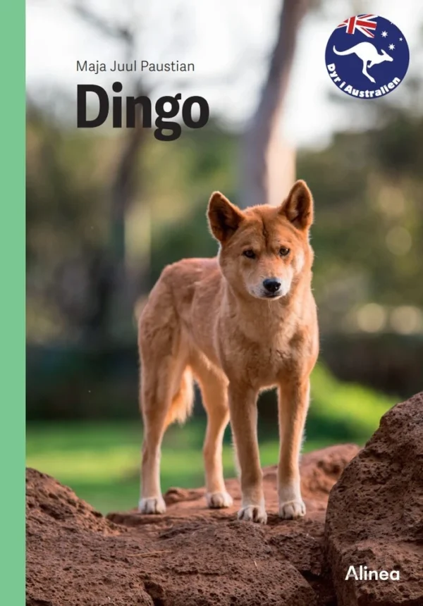 Dingo, Grøn Fagklub Grøn